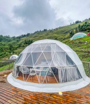 Mountain Dew Hotel